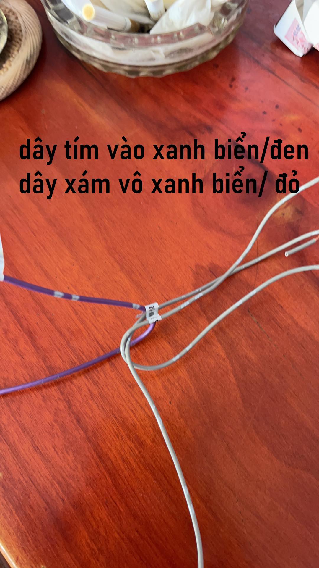 217725124_1684494421735722_2144355562969096370_n.jpg