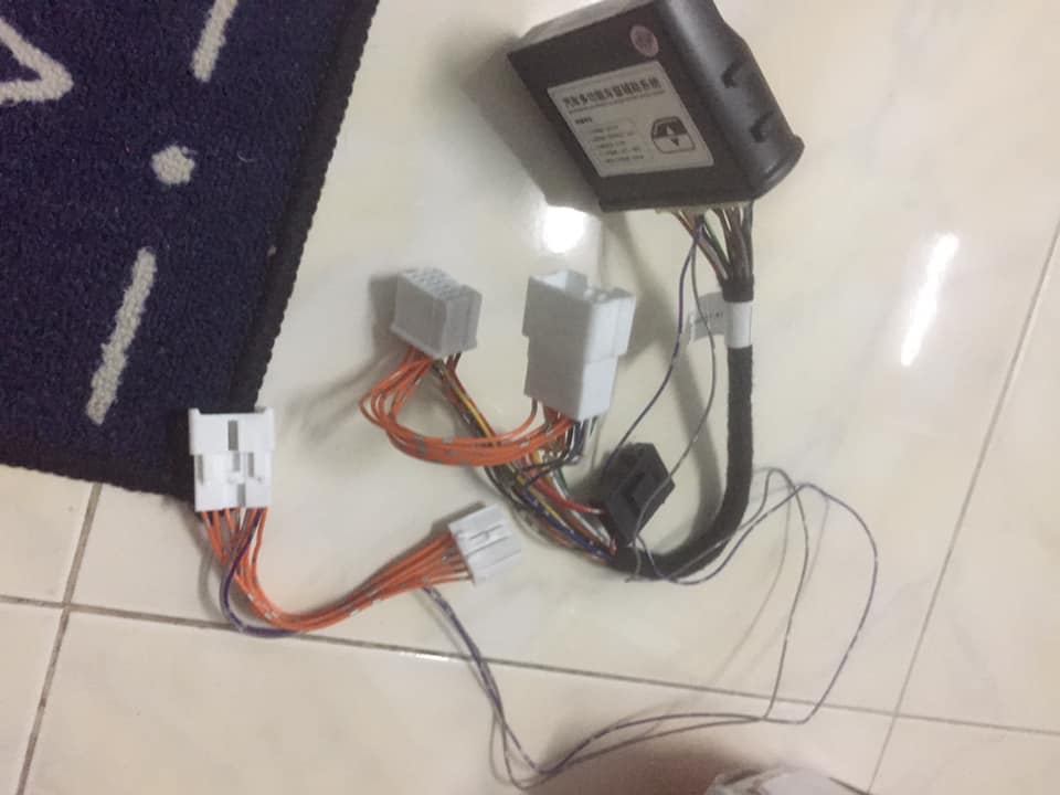 56536150_2263346887237179_4615612464644489216_n.jpg