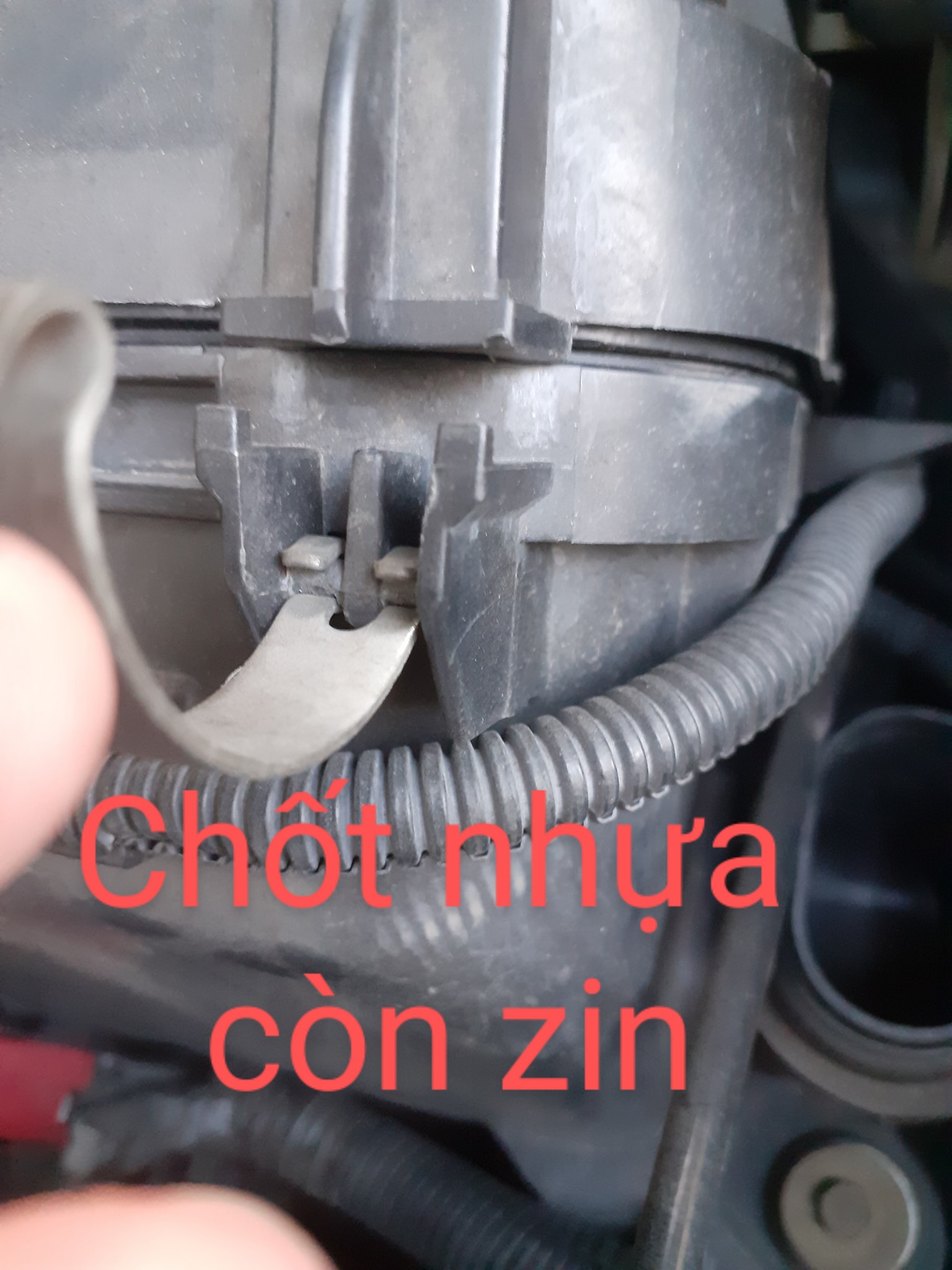 moc1.jpg