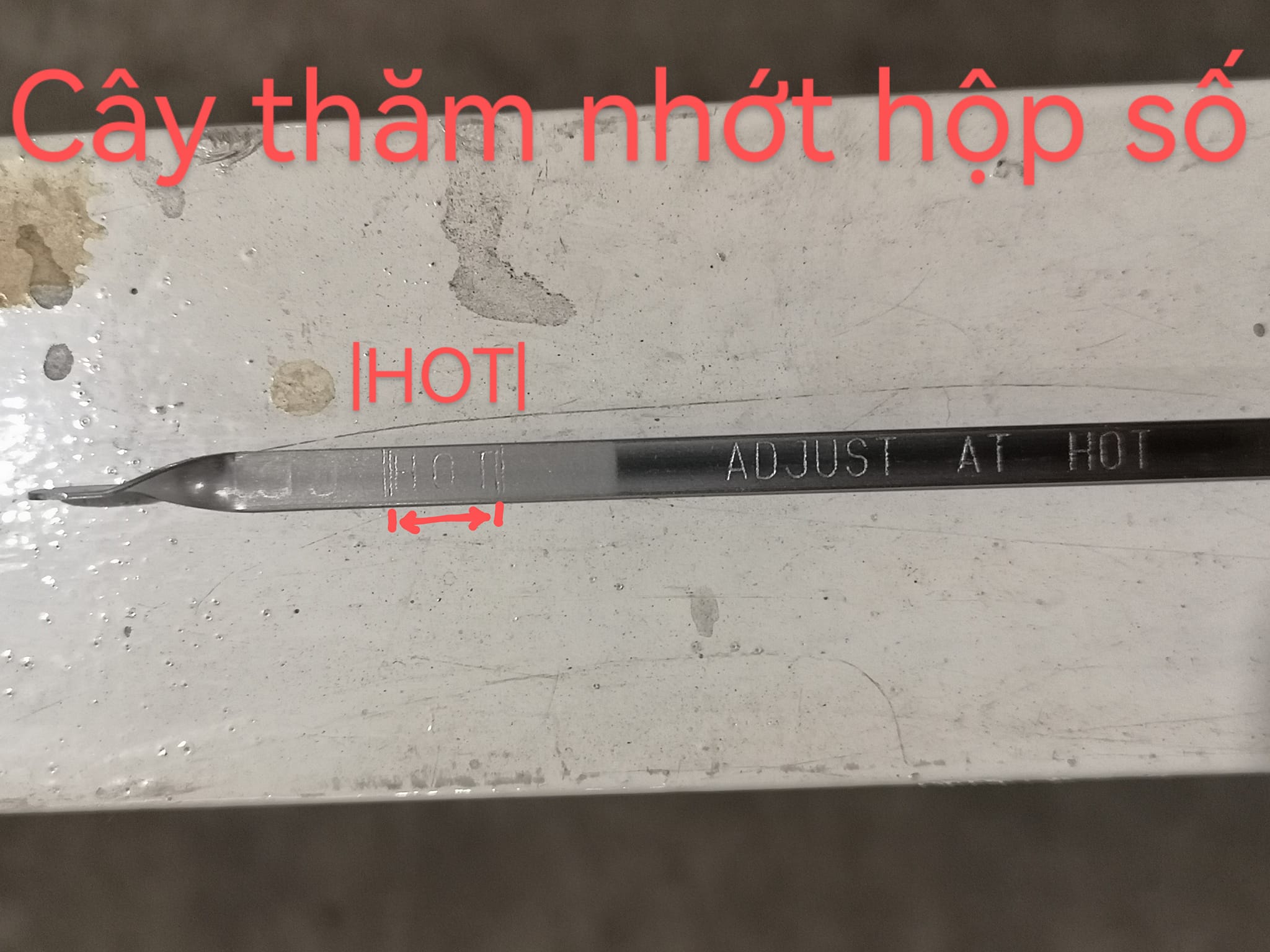 nhot4.jpg