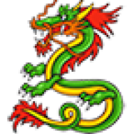 ASIAN DRAGON LLC