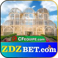 zdzbetukcom