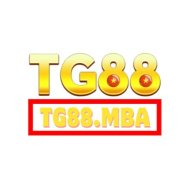 tg88mba