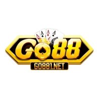 go881net