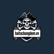 haitacbongdemvn