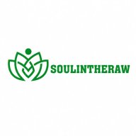 bongdasoul