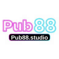 pub88studio