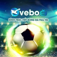 vebozllcc