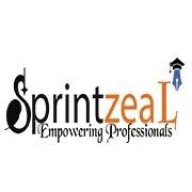 sprintzeal12